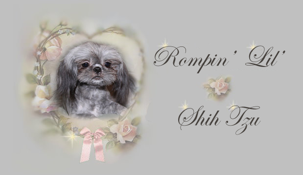 Tiny Chinese Imperial Shih Tzu Heather pedigree